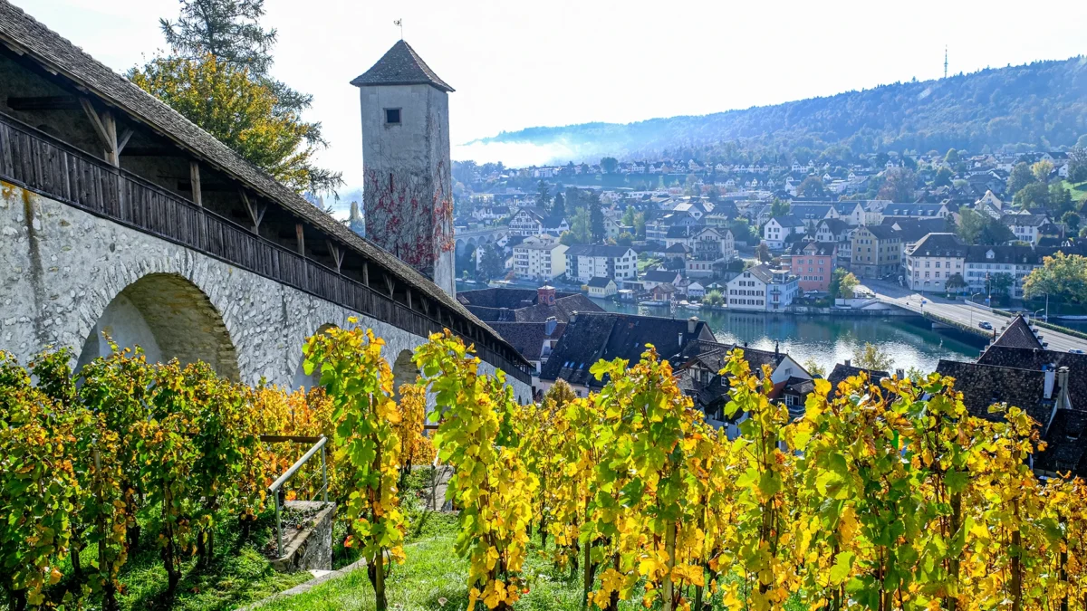 Schaffhausen Titelbild